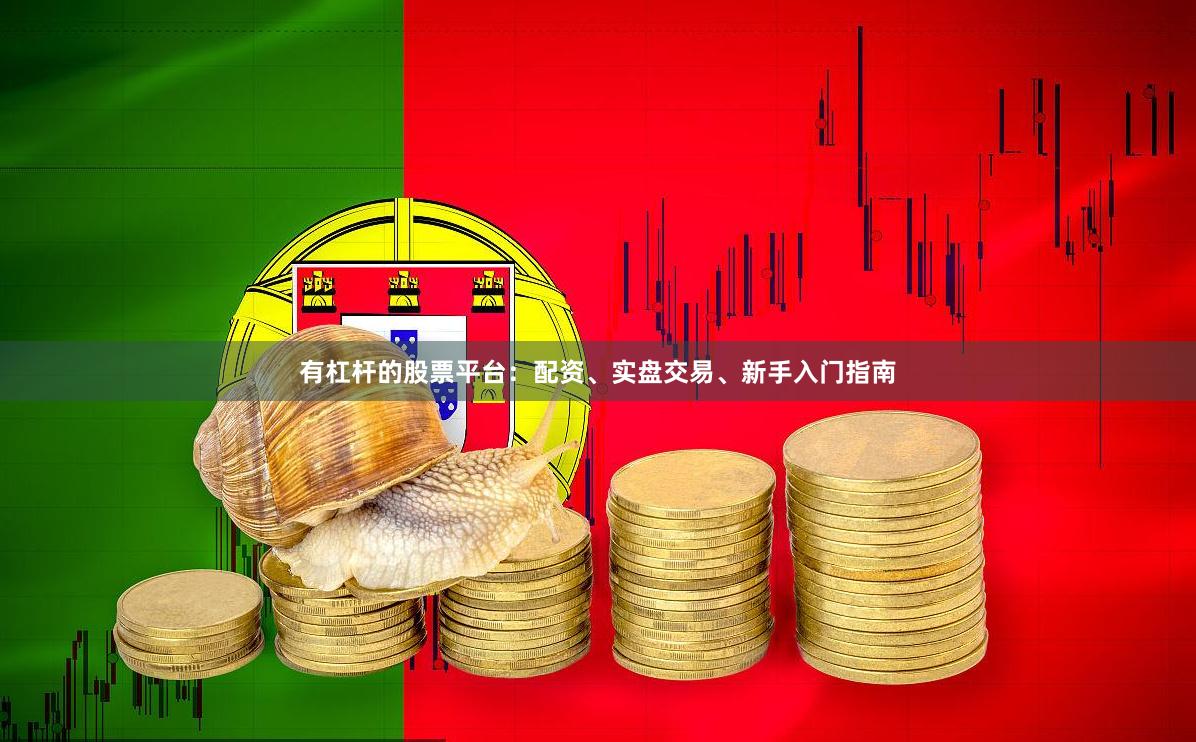 有杠杆的股票平台：配资、实盘交易、新手入门指南