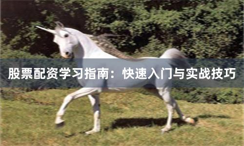 股票配资学习指南：快速入门与实战技巧